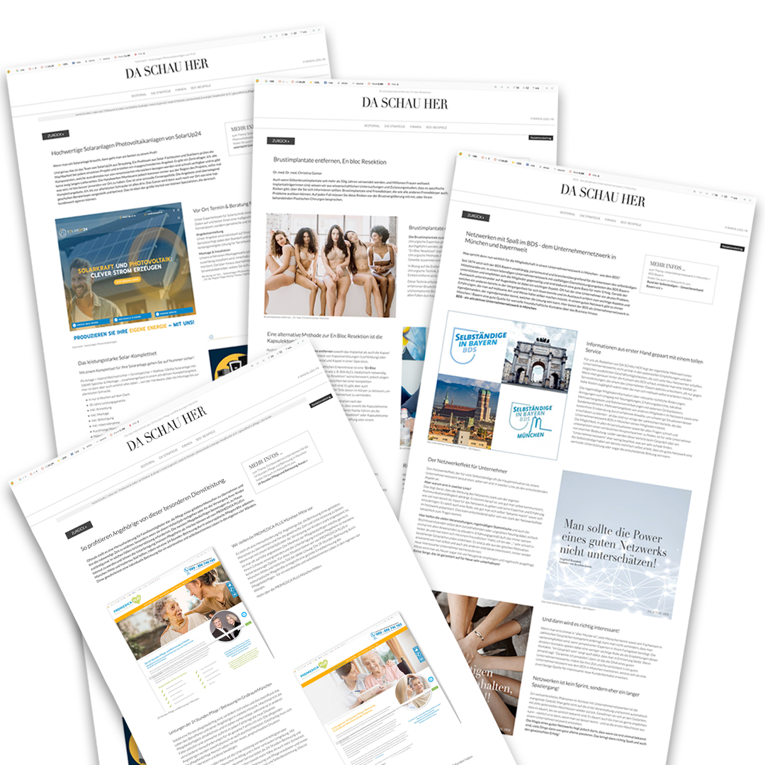 Das neuen Konzept ... DSH-EDITORIAL auf da-schau-her.de