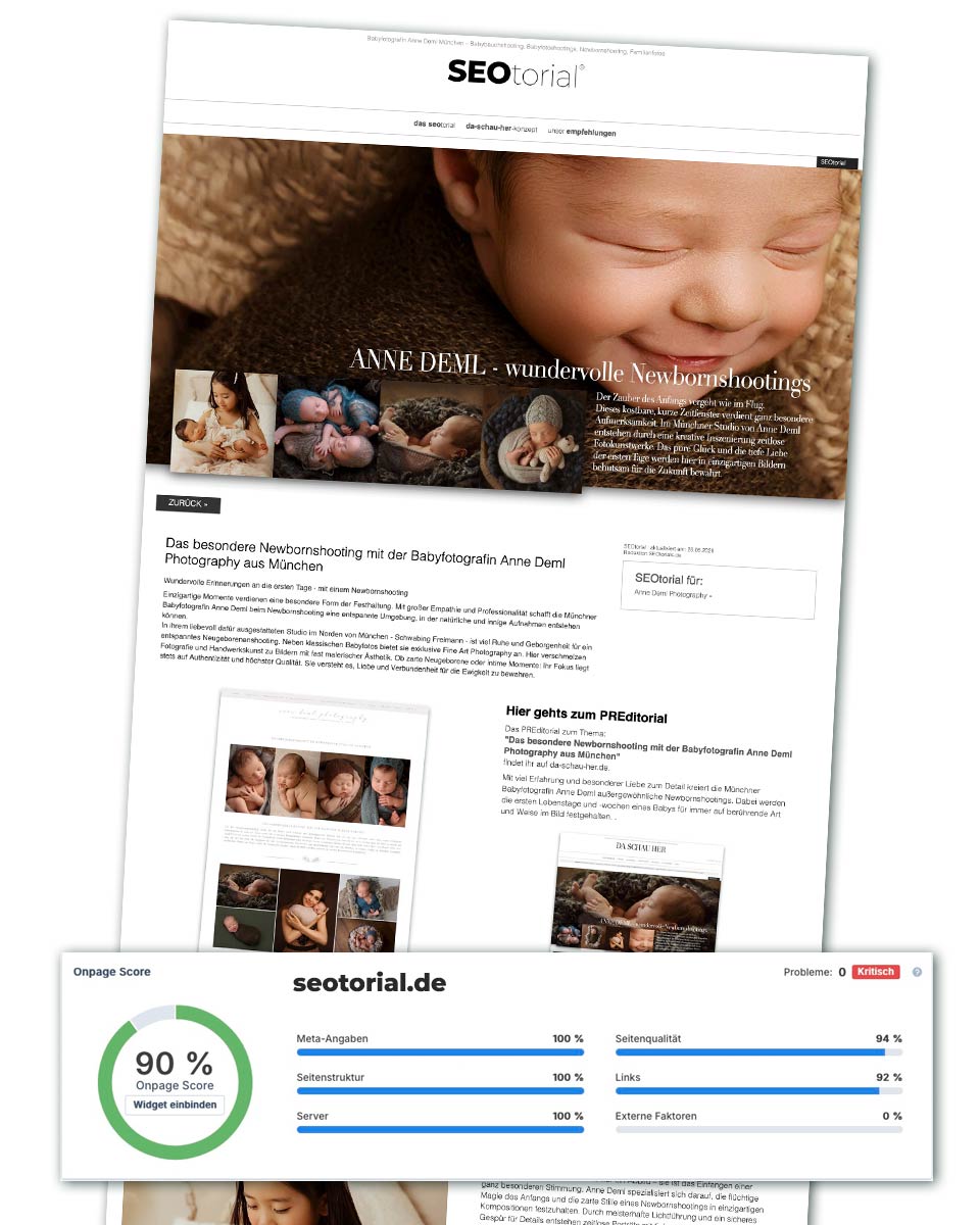 SEO Check von einem SEOtorial auf seotorial.de