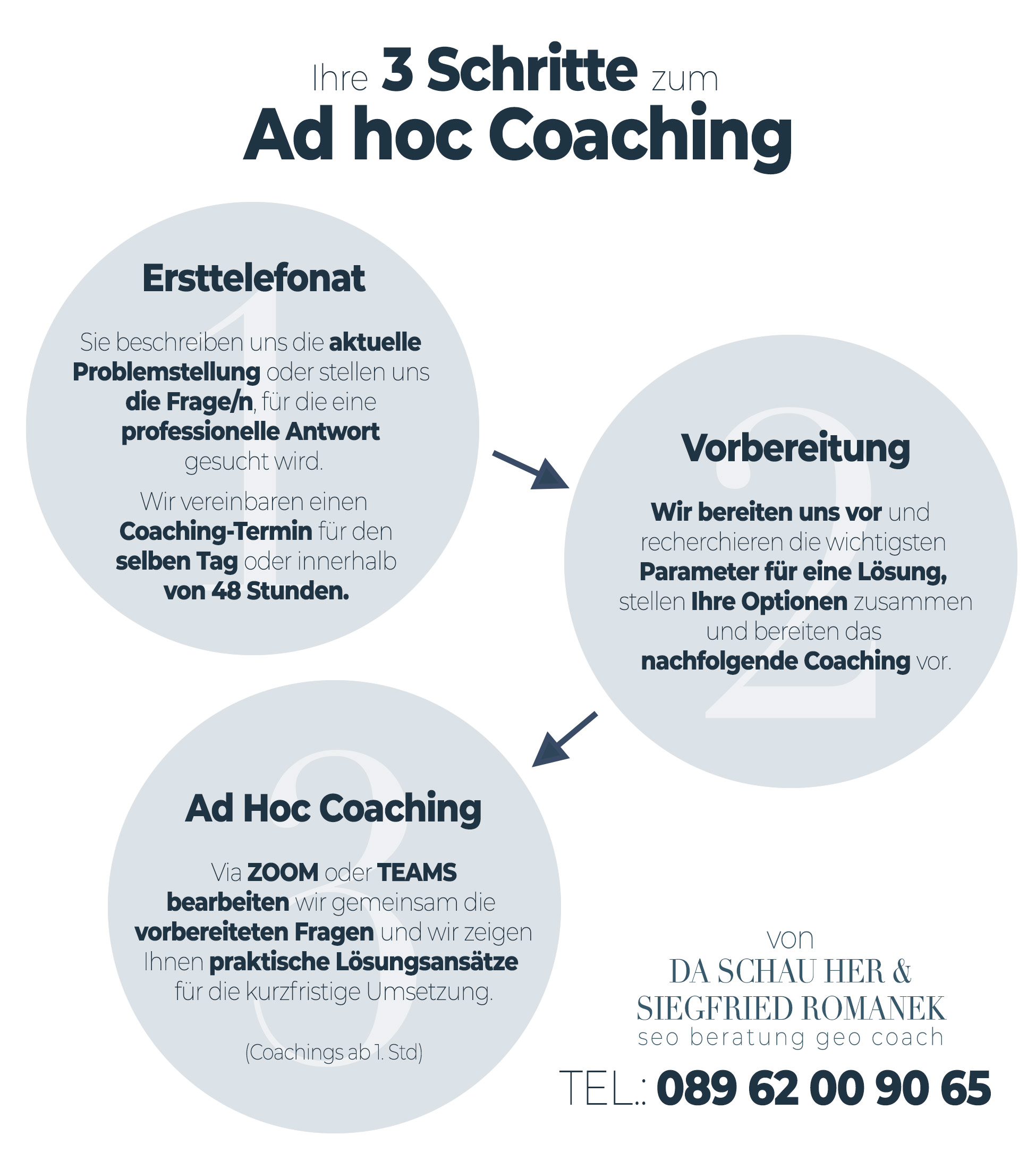DA SCHAU HER ... SEO Ad hoc Coaching