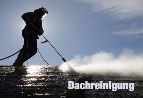 da-schau-her.de unsere Empfehlungen zum Thema ... Dachreinigung  in Augsburg 