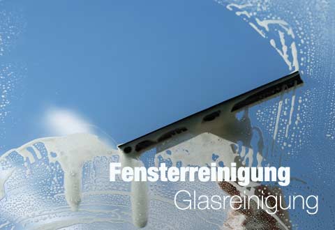 da-schau-her.de unsere Empfehlungen zum Thema ... Fensterreinigung Glasreinigung in Kaiserslautern Fensterputzer
