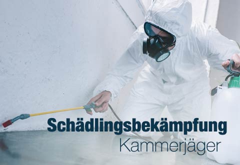 da-schau-her.de unsere Empfehlungen zum Thema ... Kammerjäger Schädlingsbekämpfung in Dinslaken 