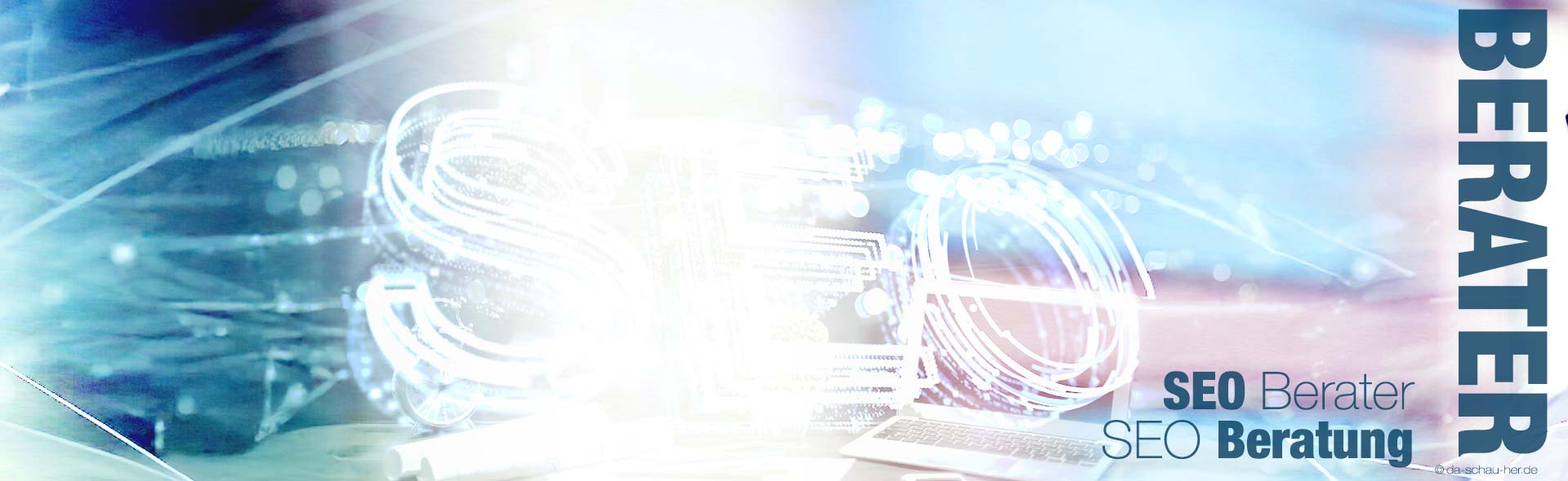SEO Berater SEOberatung in Jena ... da-schau-her.de 